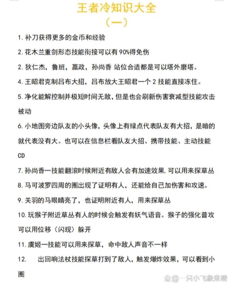 王者荣耀冷知识小技巧，王者你不知道的冷知识？-第3张图片-猴鲨游戏