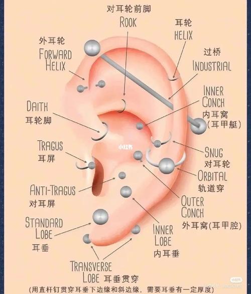 王者荣耀前后卫技巧，王者荣耀的前排和后排什么意思？-第5张图片-猴鲨游戏