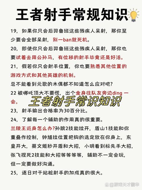 王者荣耀只会玩射手，王者荣耀只会玩射手的英雄-第4张图片-猴鲨游戏