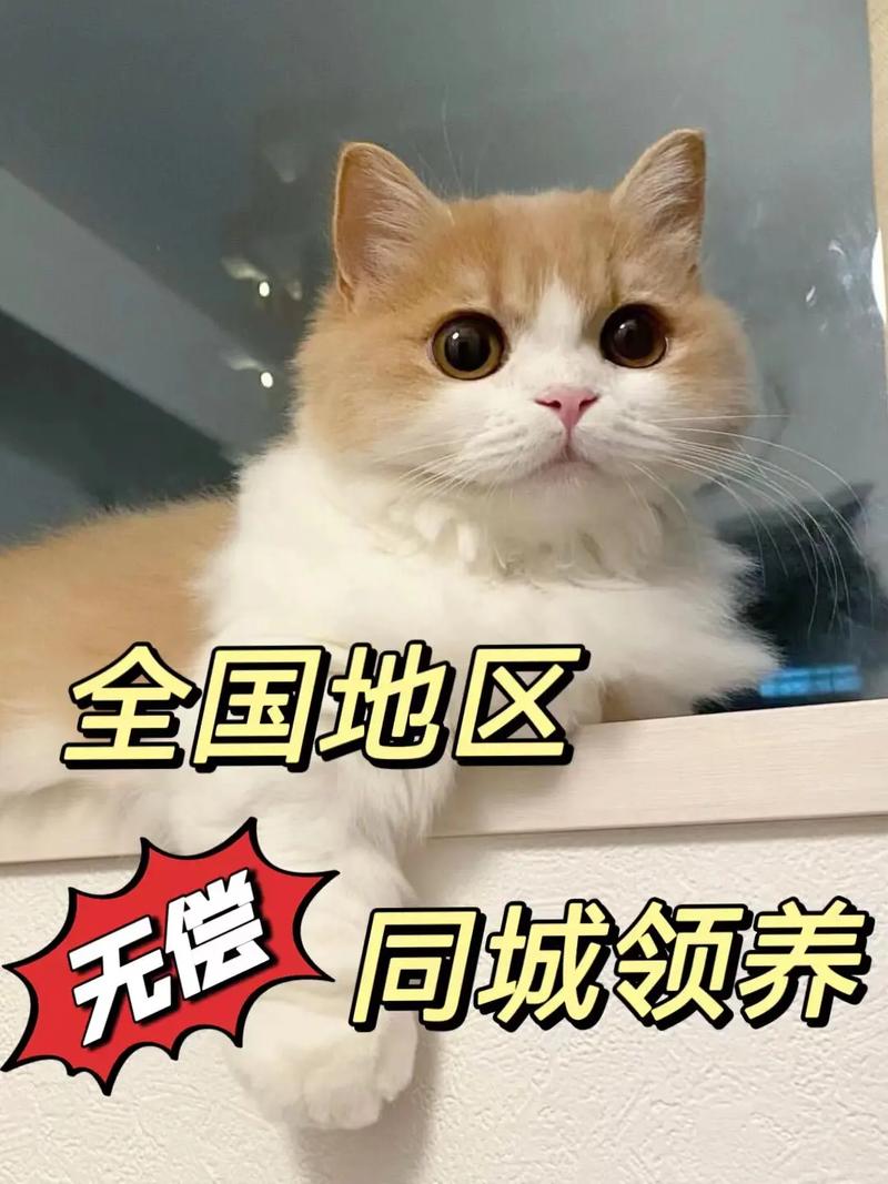 王者荣耀怎么宠物变大,王者西游宠物-第7张图片-猴鲨游戏 王者荣耀怎么宠物变大,王者西游宠物-第7张图片-猴鲨游戏