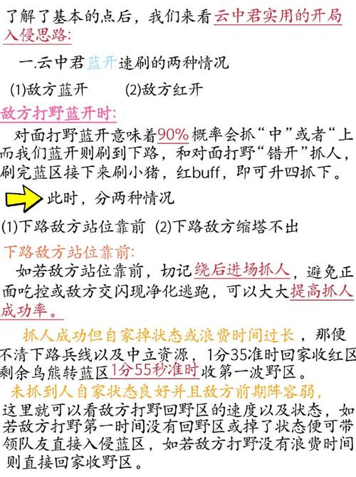 王者荣耀高分打野细节技巧，王者比较高效打野