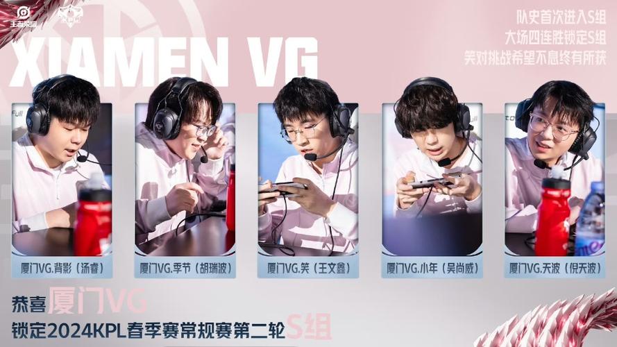 王者荣耀vg打野qy，打野vn